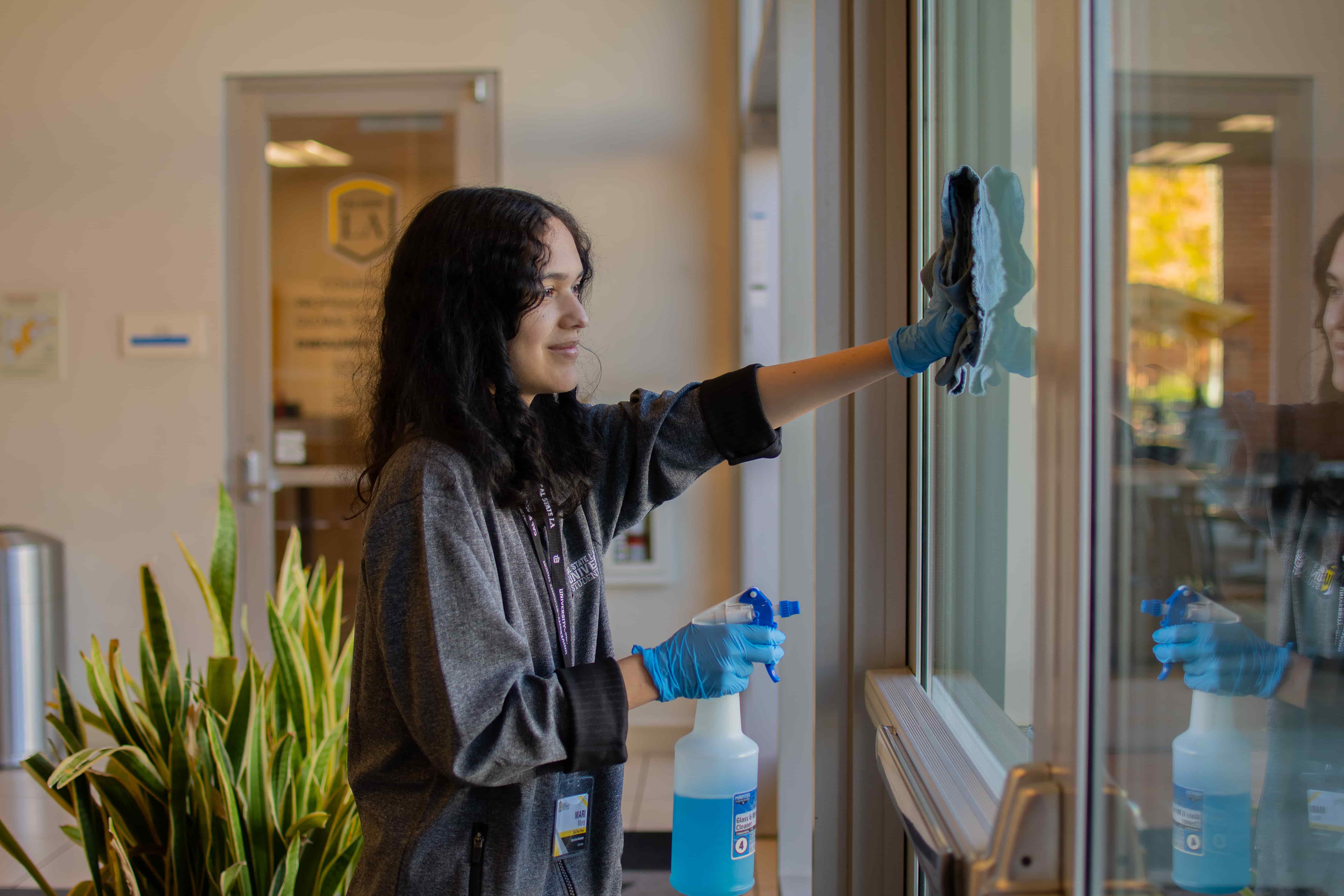 Cleaning the windows